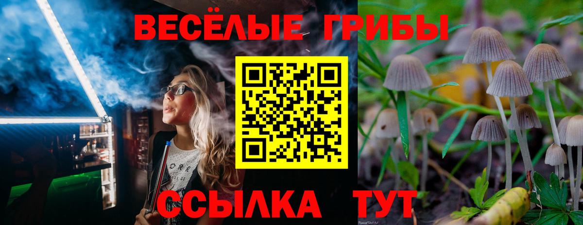 Семёнов  Галлюциногенные грибы Cubensis  Вход с VPN 