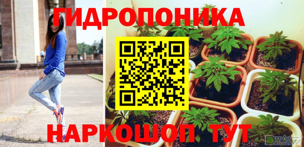 МАРИХУАНА семена Семёнов