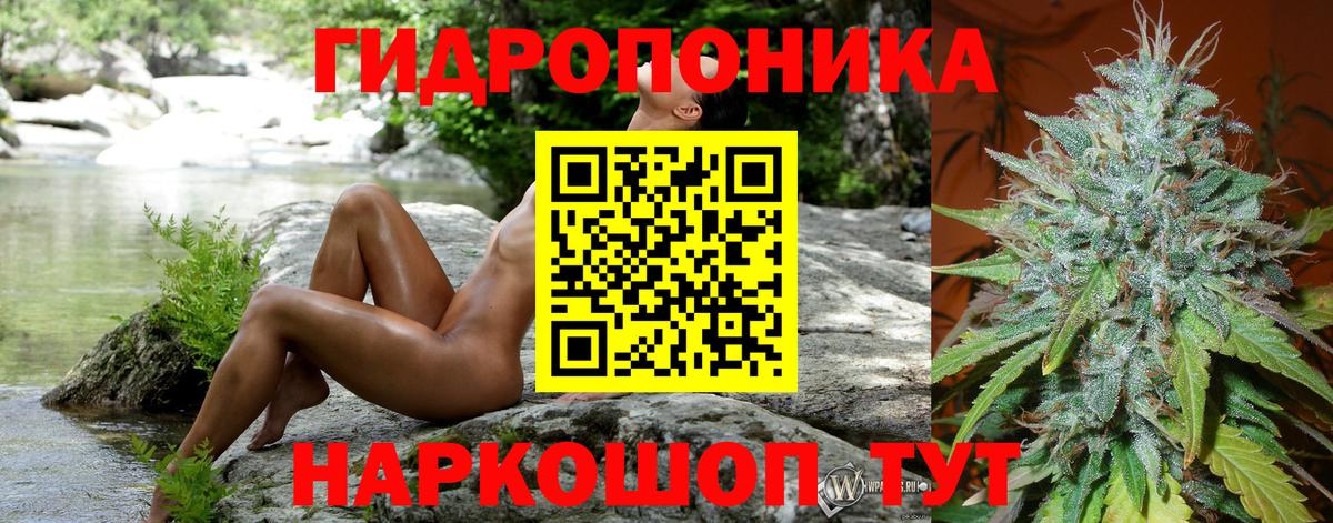 Шишки марихуана планчик  Марихуана гибрид  Семёнов  Шишки марихуана план  Вход с VPN 